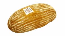 Slovanský krajánek